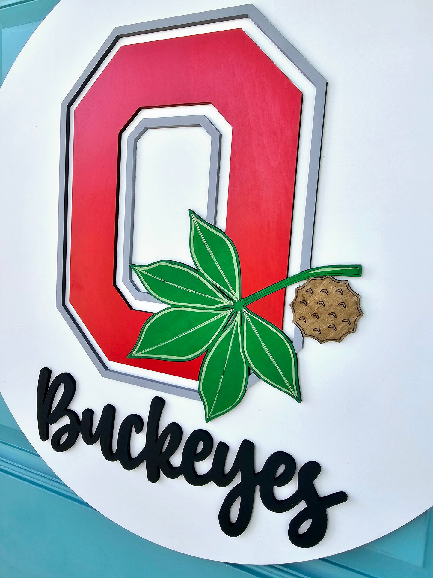 Ohio State Buckeye Door Hanger