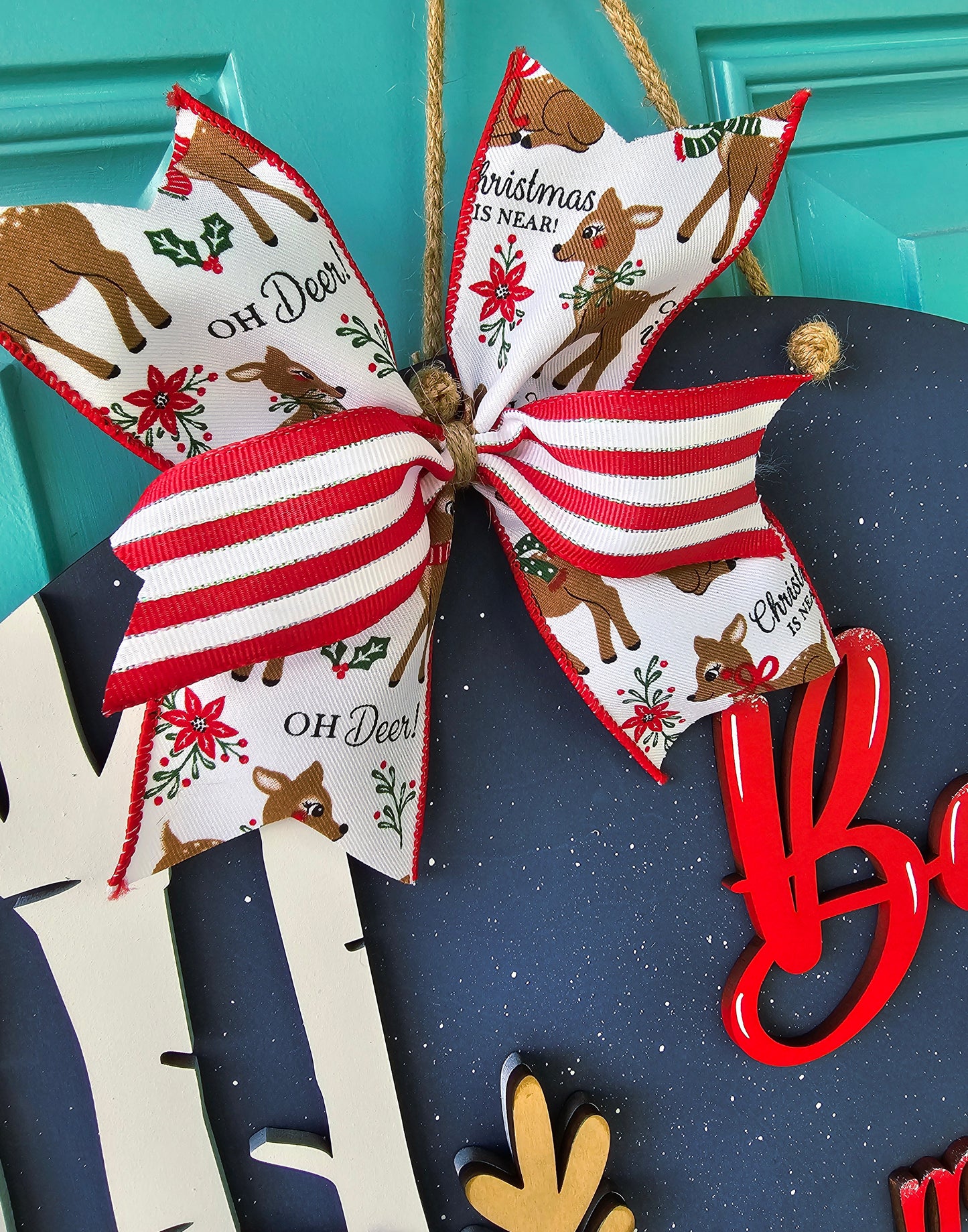 Believe in the Magic of Christmas Rudolph Door Hanger