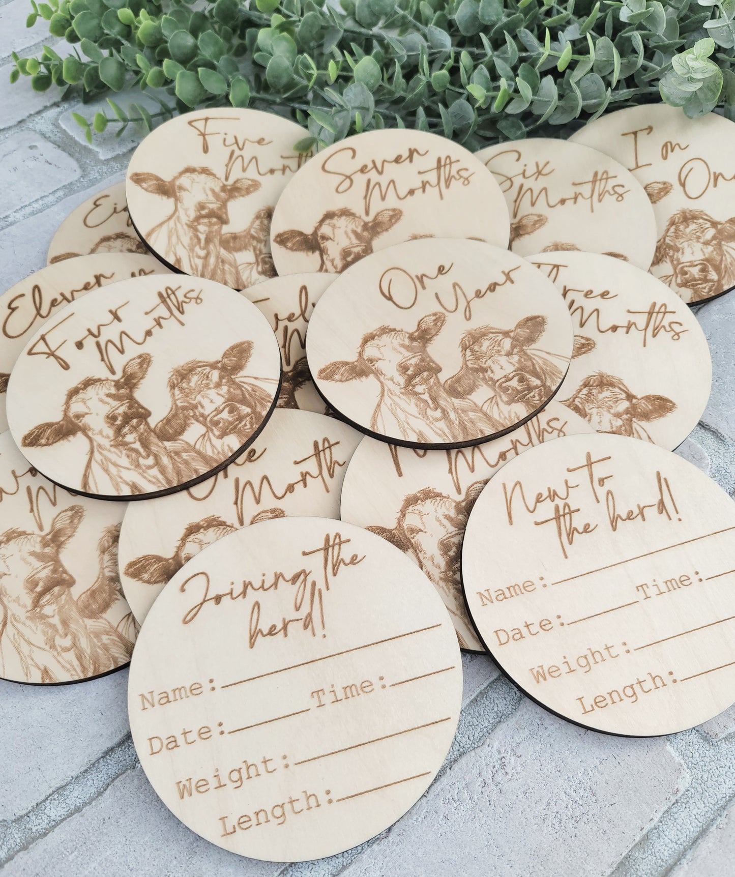 Cow Monthly Milestones