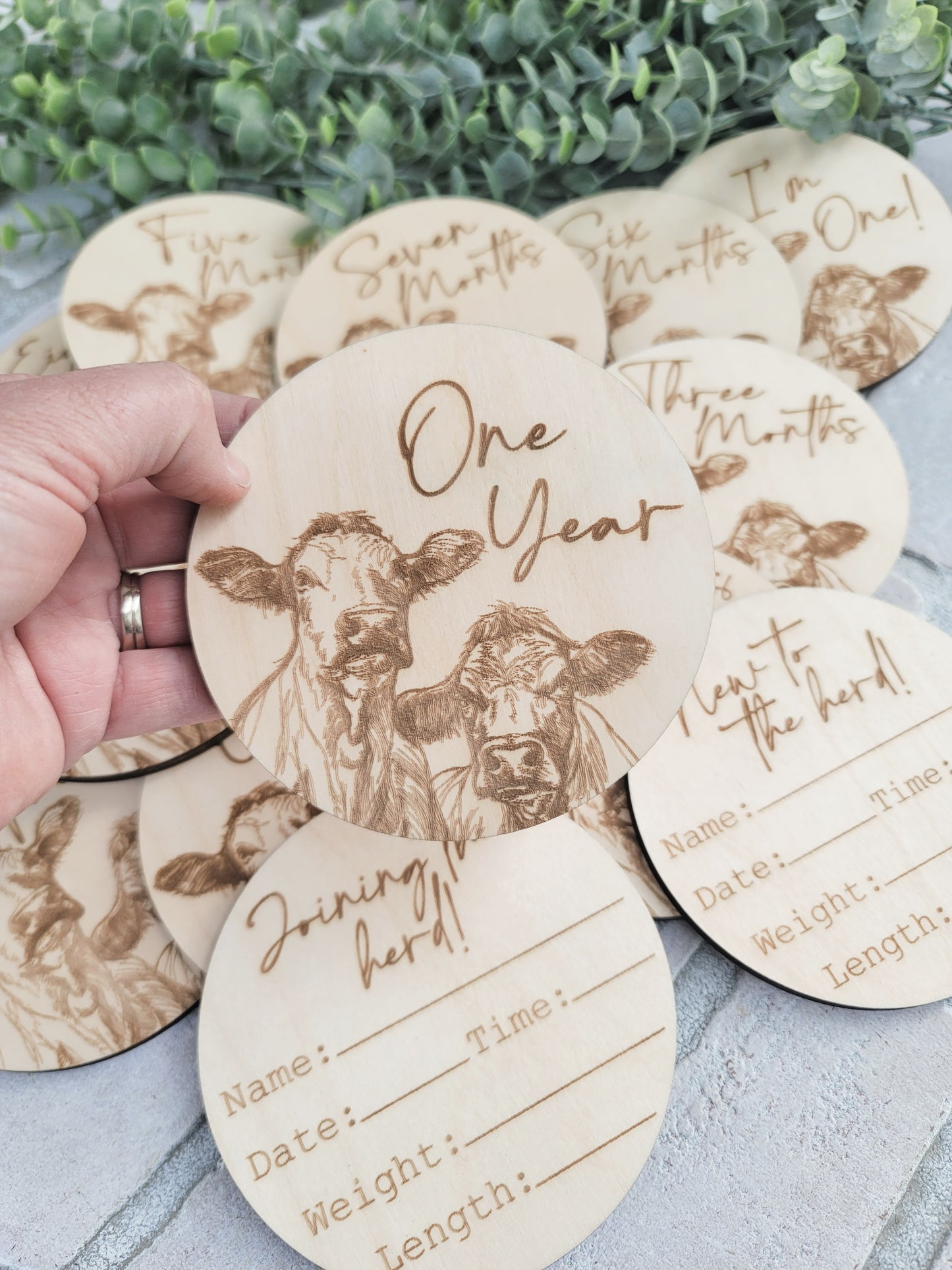 Cow Monthly Milestones