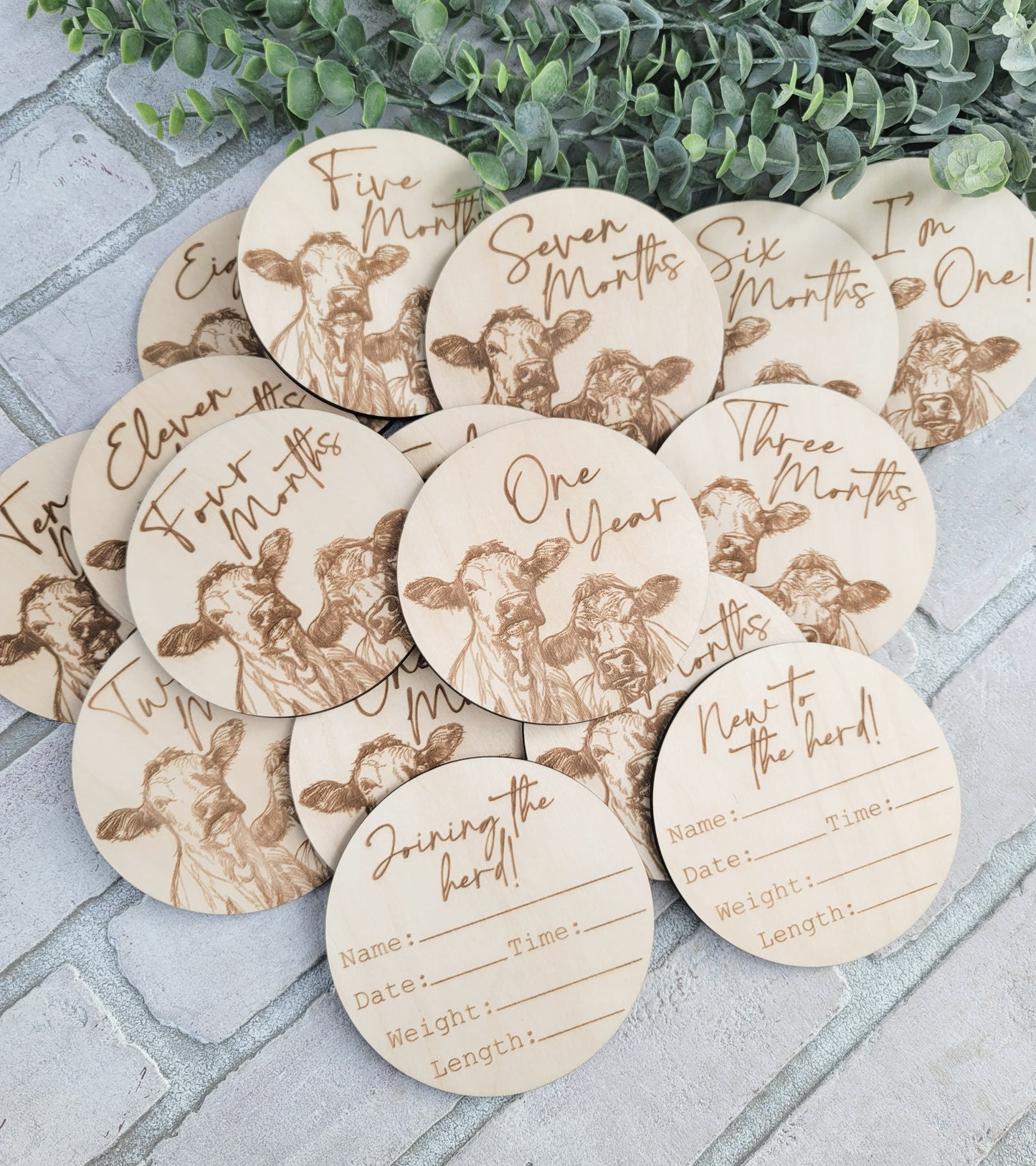 Cow Monthly Milestones