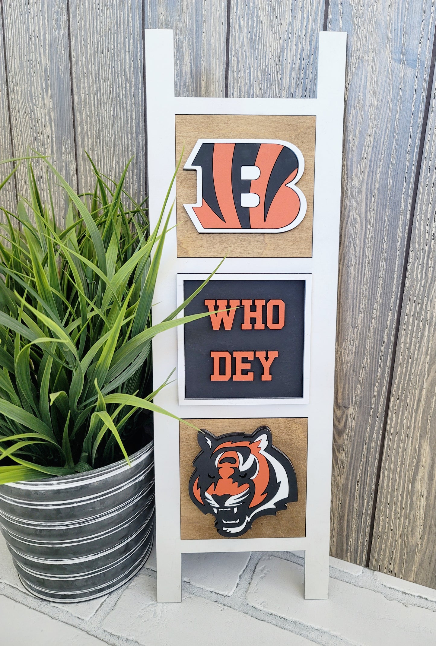 Bengals-Set of 3