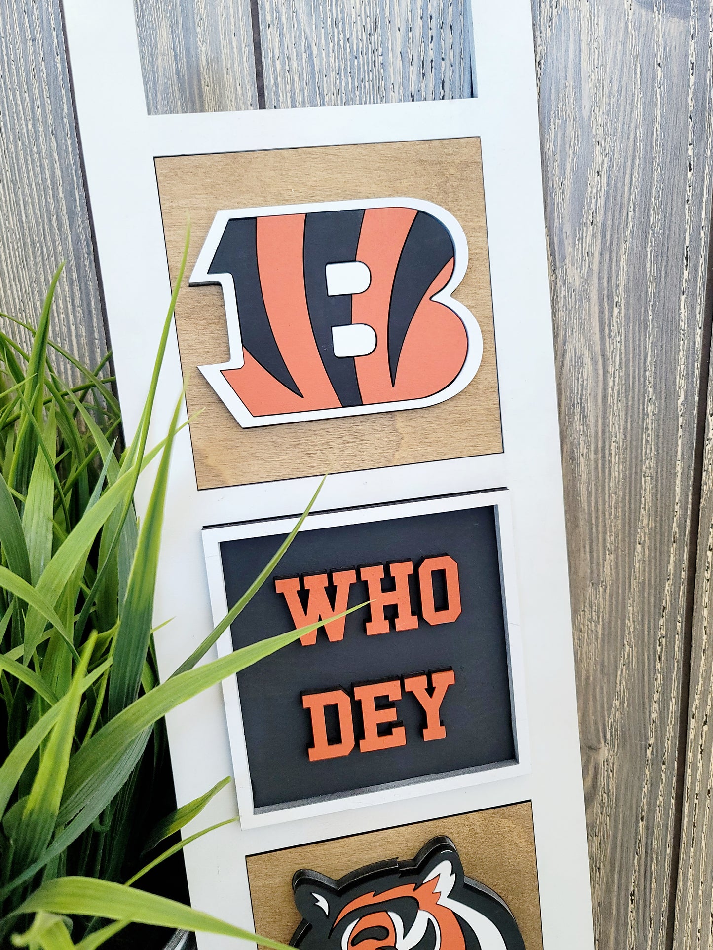 Bengals-Set of 3