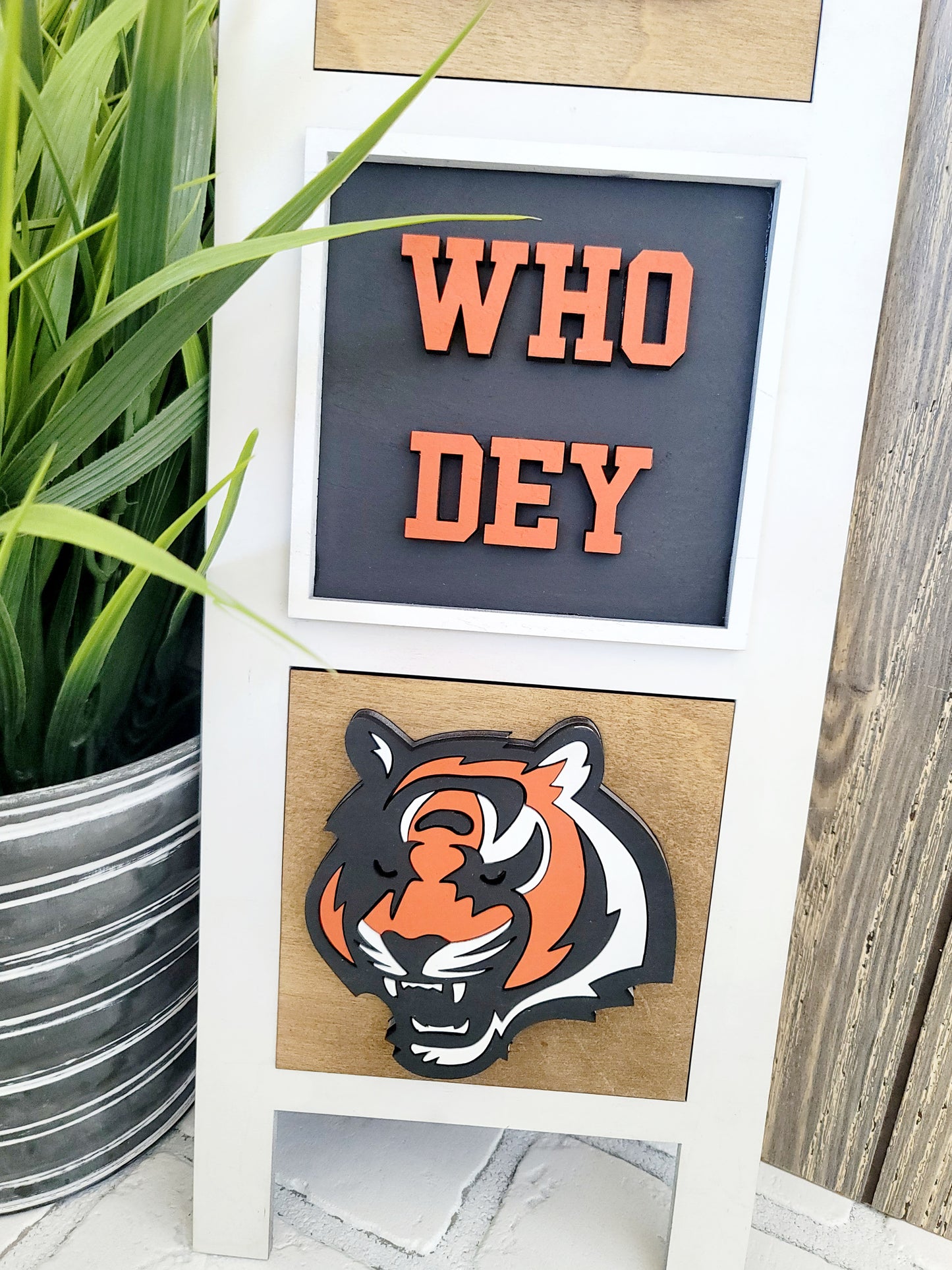 Bengals-Set of 3