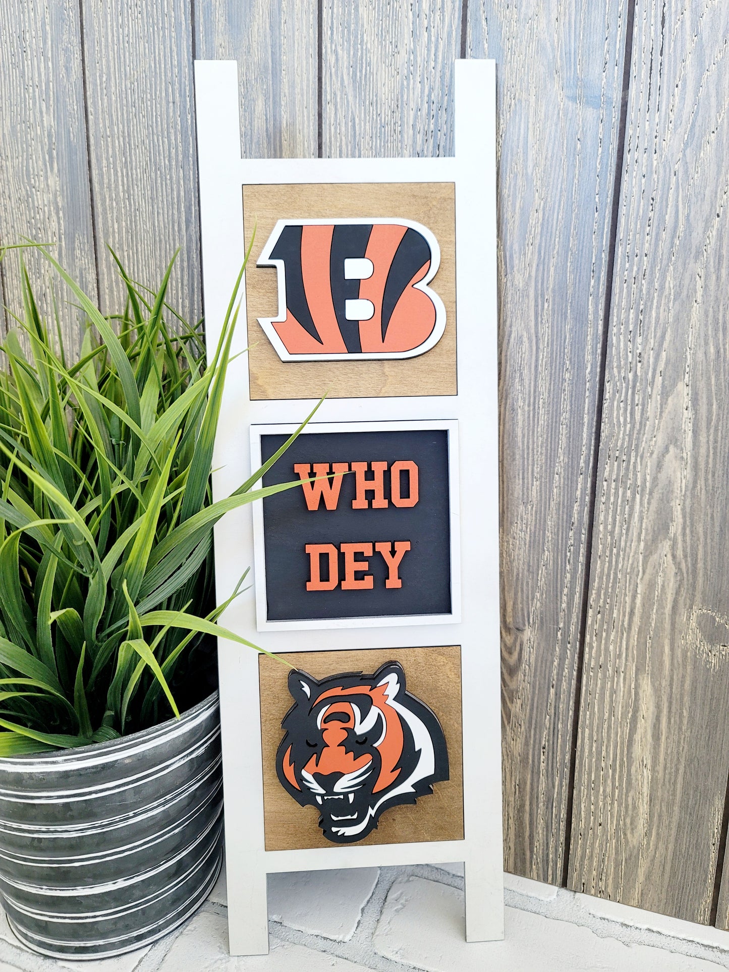 Bengals-Set of 3