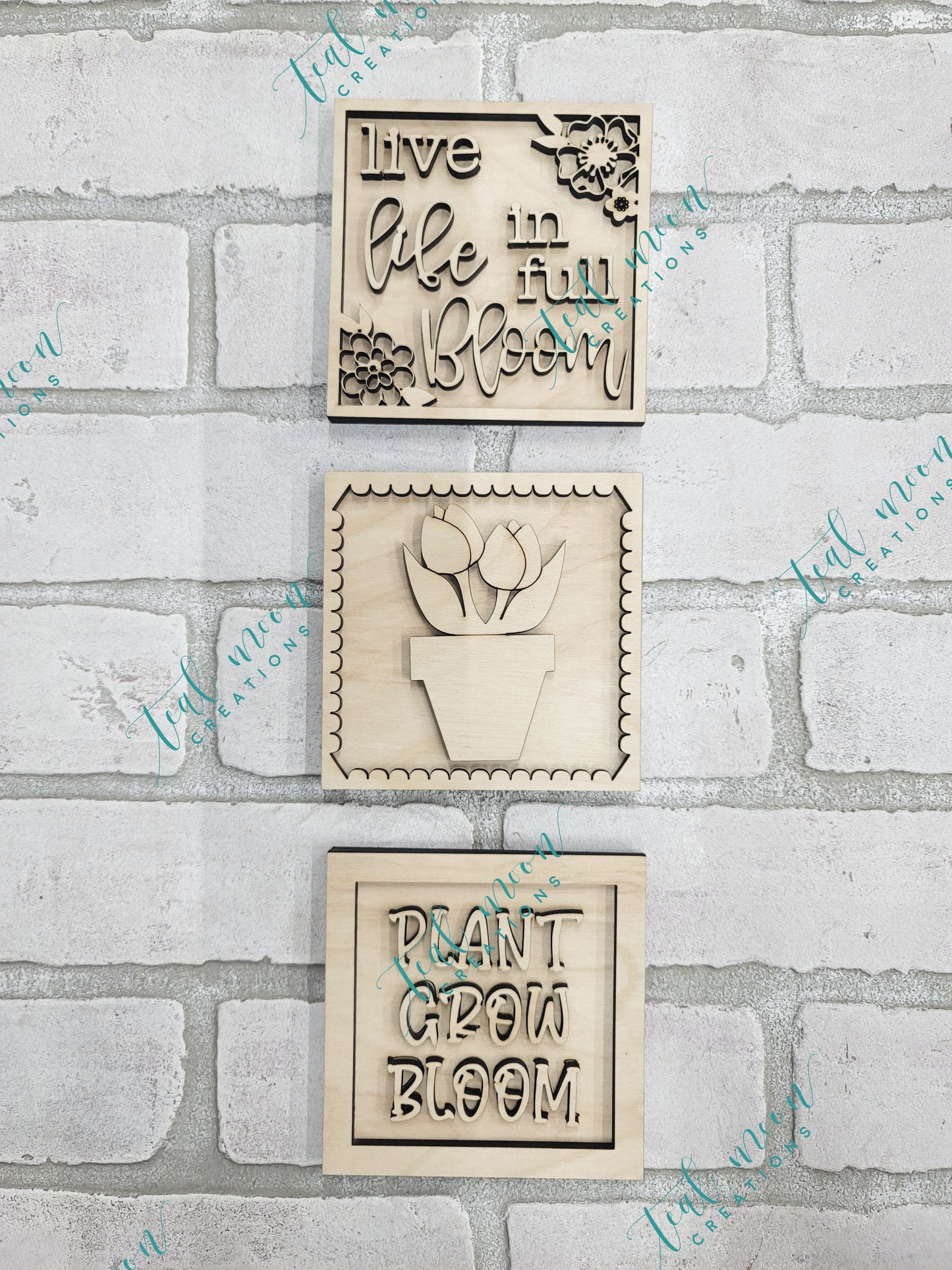 Plant Grow Bloom- Set of 3