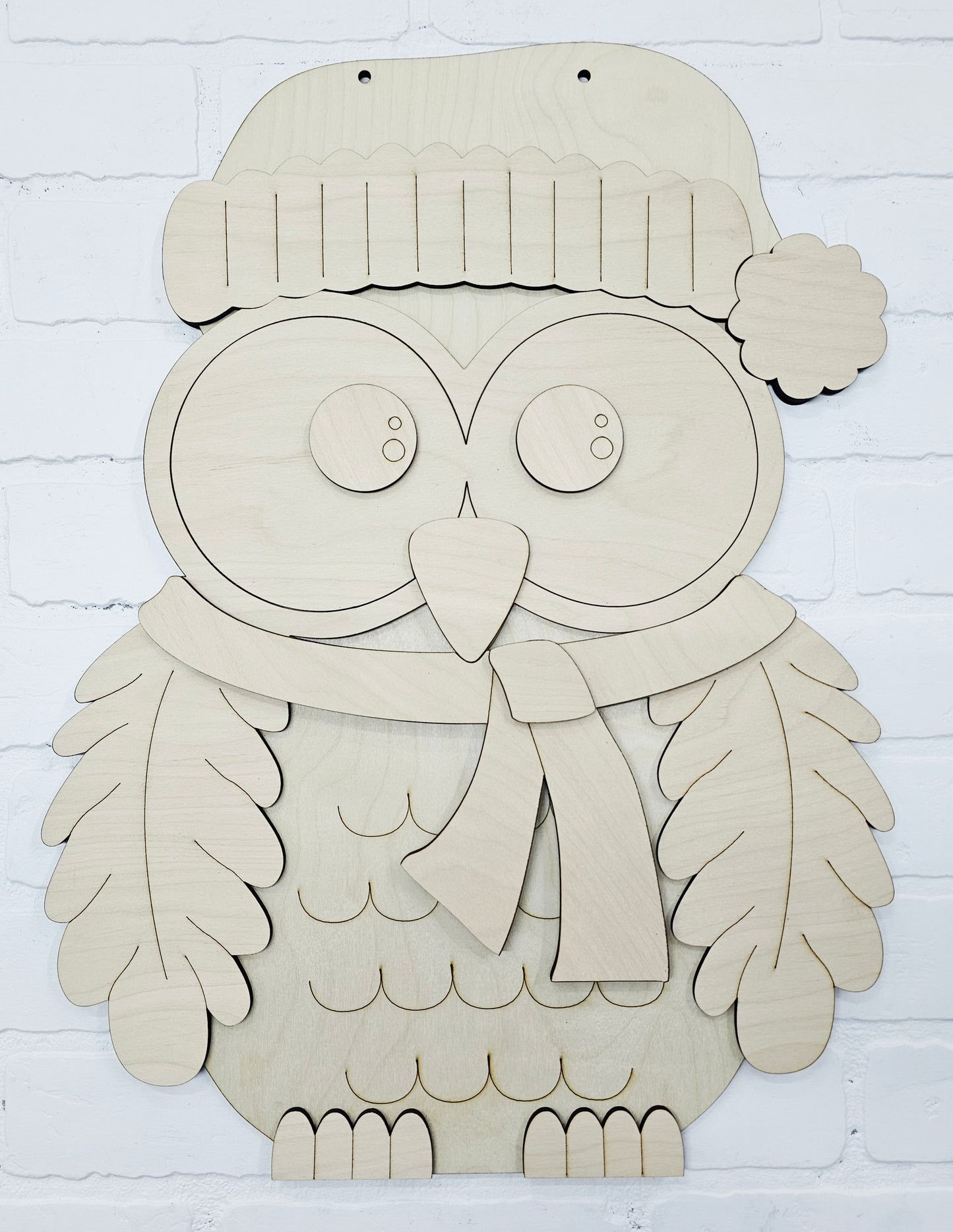 Winter Owl Door Hanger