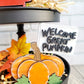 Charlie Brown- The Great Pumpkin Tiered Tray Set