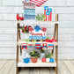 Fireworks Tiered Tray Set