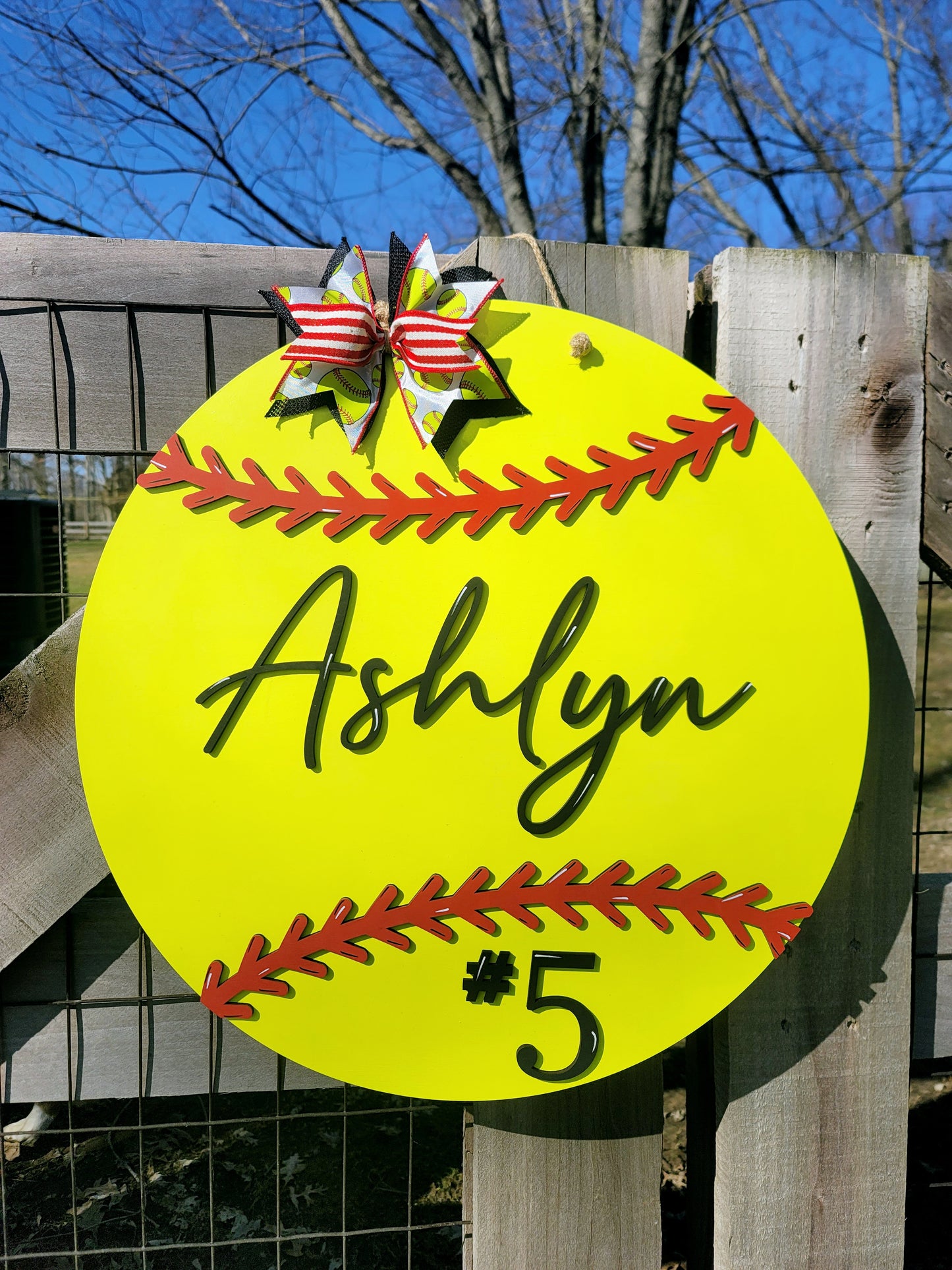 Softball Door Hanger