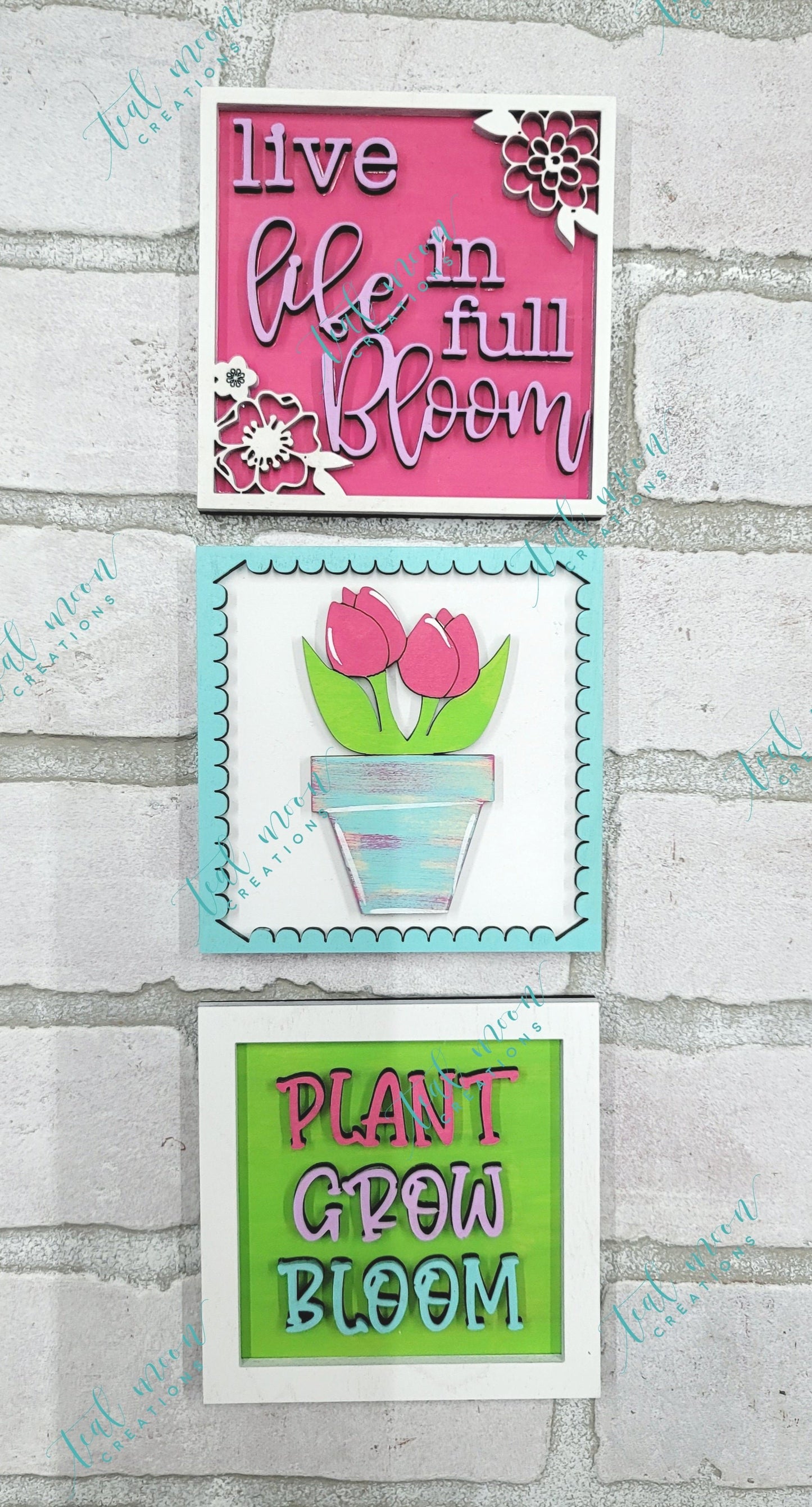 Plant Grow Bloom- Set of 3