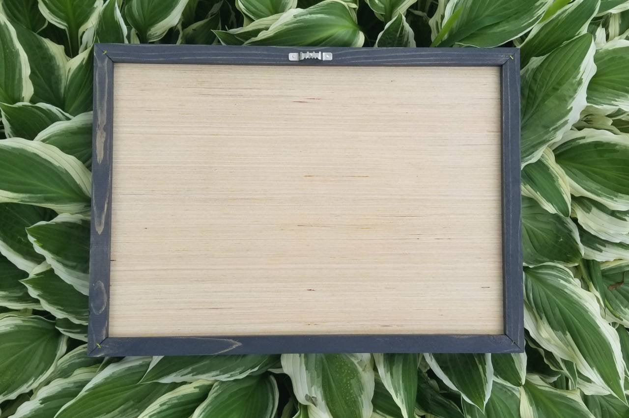 Scratch Off Travel Map United - Il Fullxfull.2380008683 J2ul 